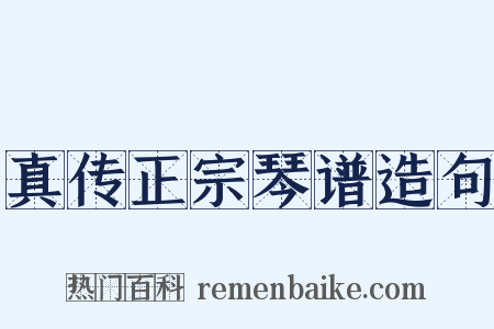 真传正宗琴谱造句是什么意思的图片